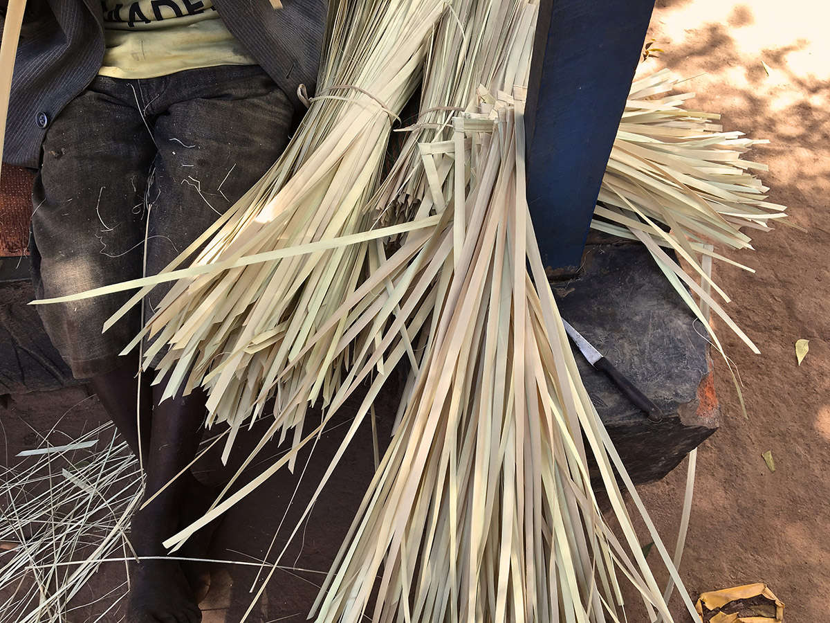 strips of palm leaves drying and ready for palm crosses